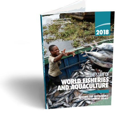 The State of World Fisheries and Aquaculture 2018:  meeting the sustainable development goals.